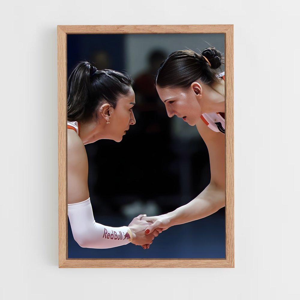 Poster Tijana boskovic figures – affiche Volleyball (vue 4)